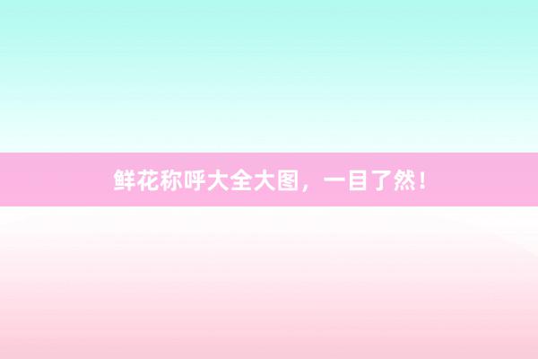 鲜花称呼大全大图，一目了然！