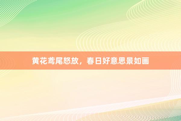 黄花鸢尾怒放，春日好意思景如画